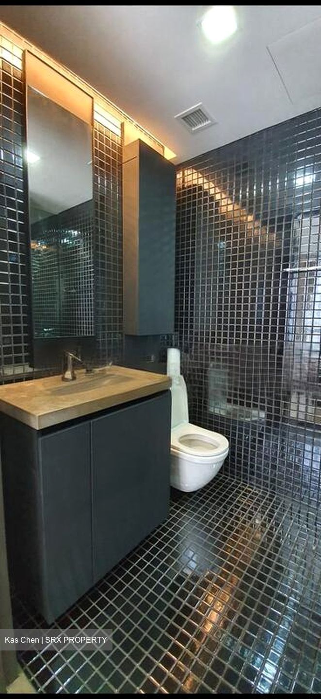 Skysuites@Anson (D2), Apartment #474209381